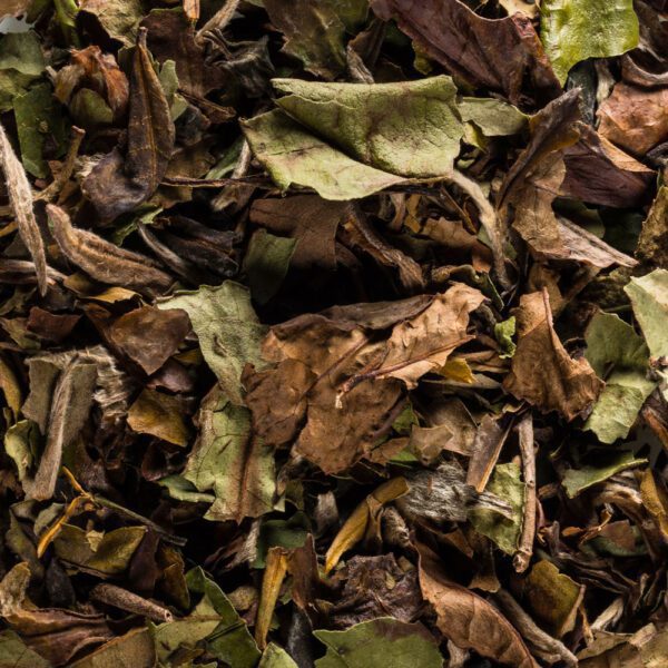 Bio China Pai Mu Tan