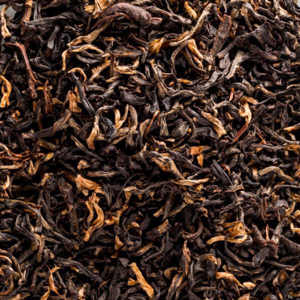 assam-second-flush-sftgfop1-superior-typ-hattialli