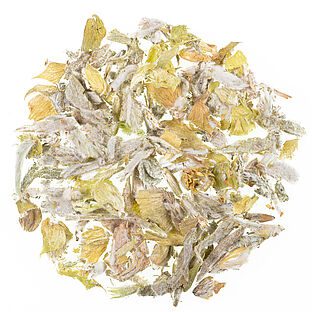 cistus-zistrose-kopie